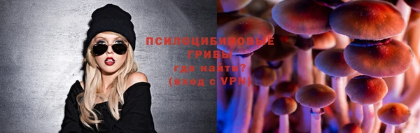 соль ск Белая Холуница