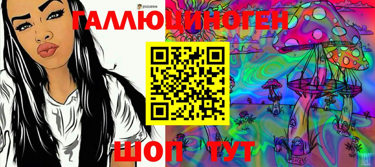 Галлюциногенные грибы GOLDEN TEACHER  Псилоцибиновые грибы MAGIC MUSHROOMS  Борзя  Вход с VPN 