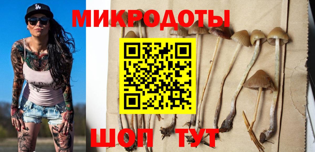 Галлюциногенные грибы MAGIC MUSHROOMS Борзя